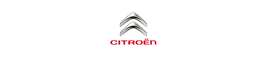 Austauschgetriebe Citroen